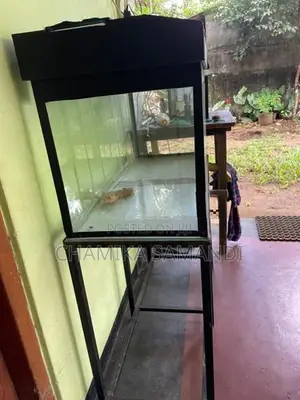 Fish Tank