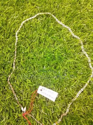 Silver Chain