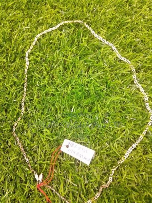 Silver Chain