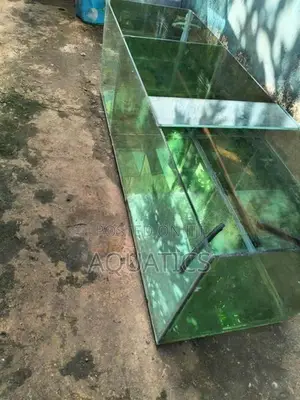 Fish Tank