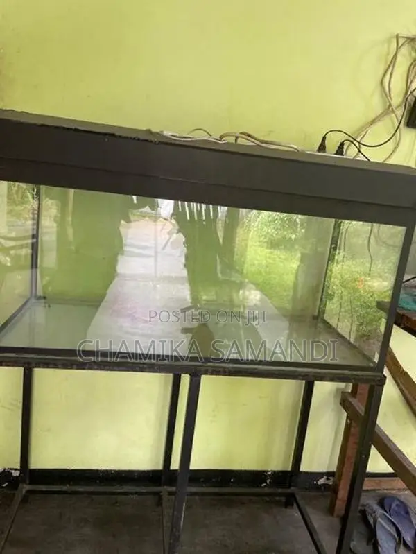 Fish Tank