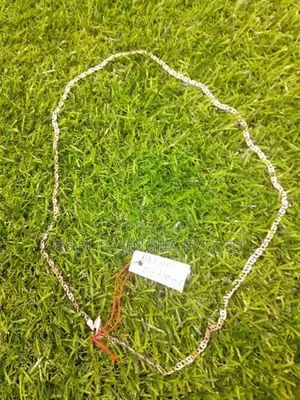 Silver Chain