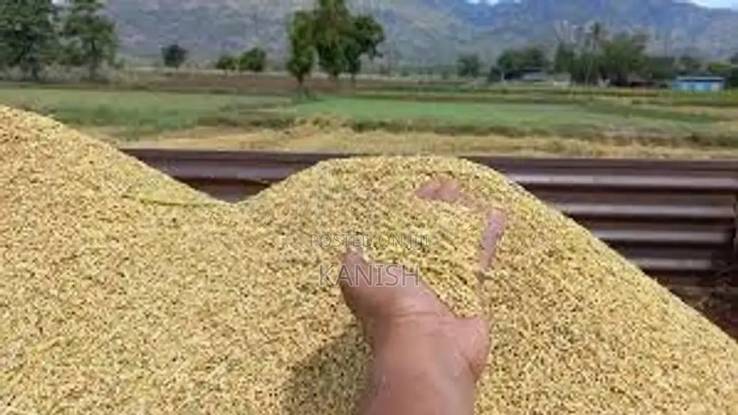 சிவப்பு ஈக்கு பச்சை (கோறா) நெல்