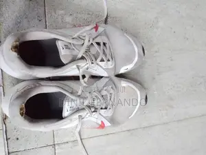 Nike Quest 4