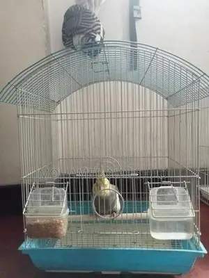 Cocktail With Cage