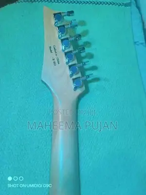 Electric Guitar