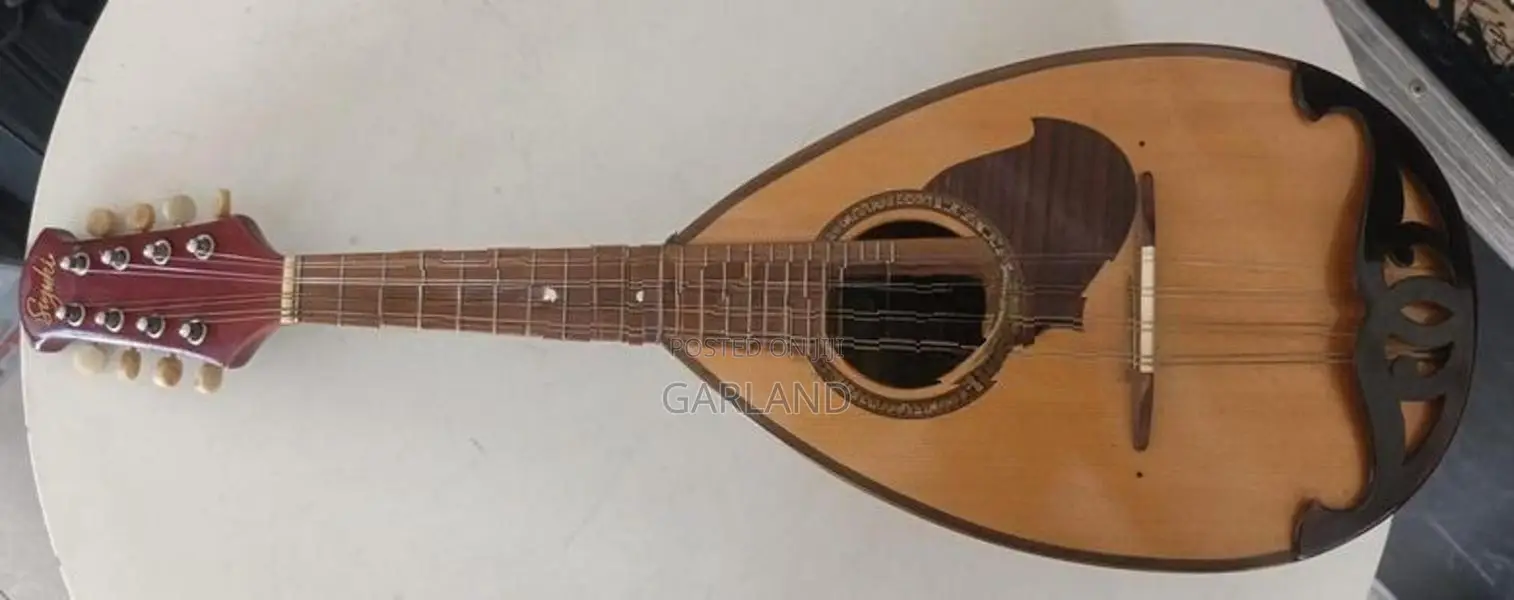 SUZUKI Mandolin-Japan