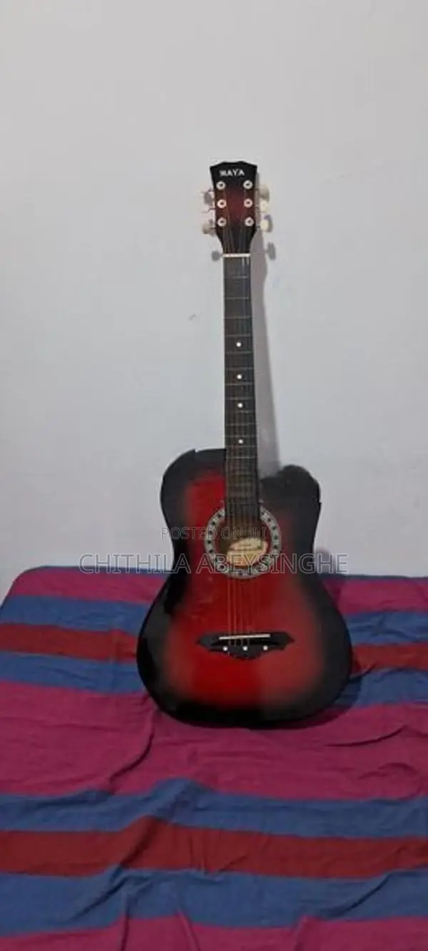 Guitar