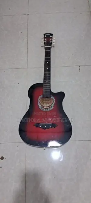 Guitar