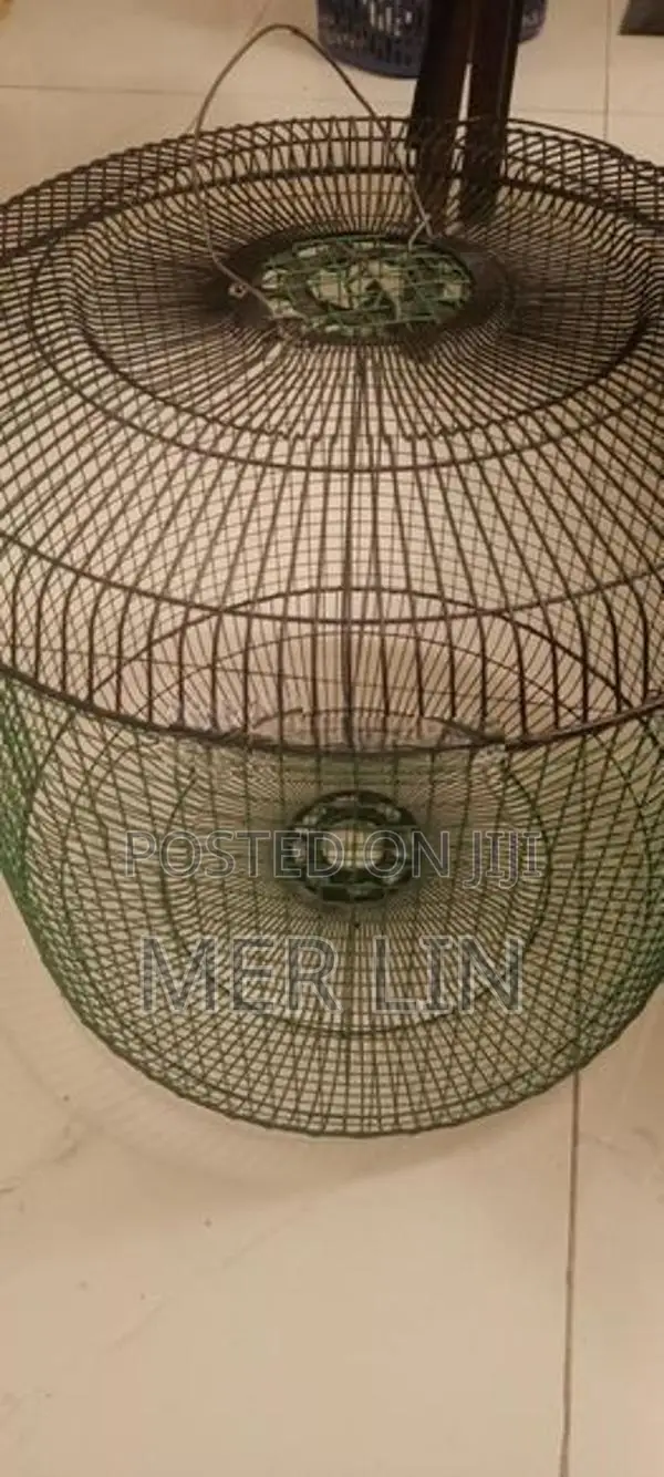 Parrot Cage