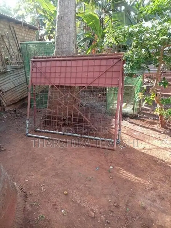 Iron Gate