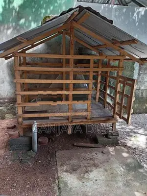 Dog Cage