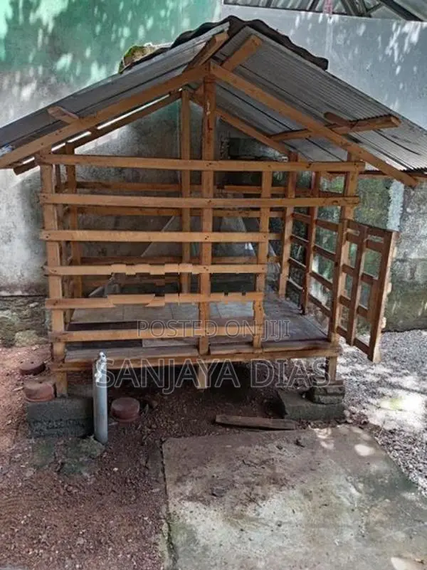 Dog Cage