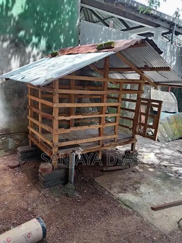 Dog Cage
