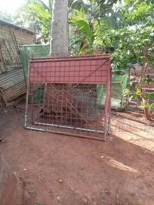 Iron Gate