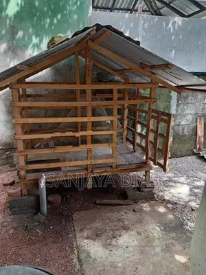 Dog Cage