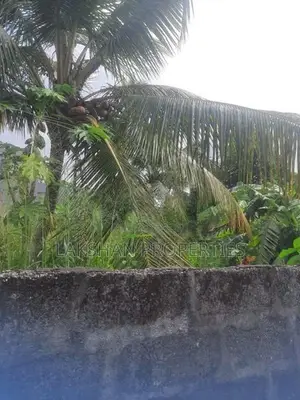 Land For Sale In Boralesgamuwa