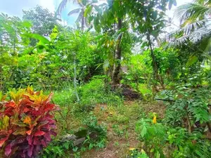 මිගොඩ සුපරි ඉඩමක් විකිණීමට