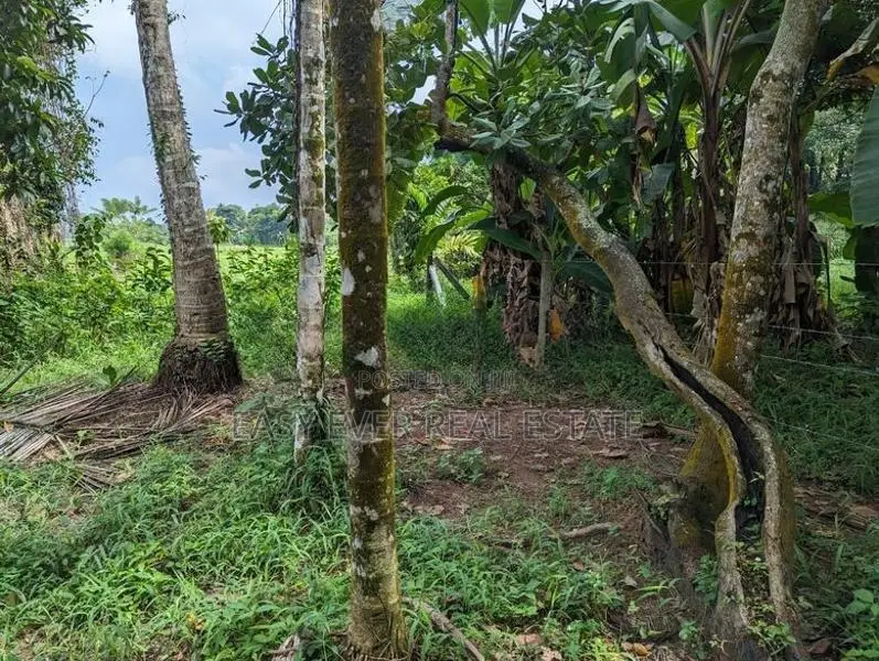 Land for Sale in Kadawatha