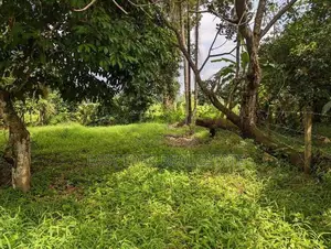 Land for Sale in Kadawatha