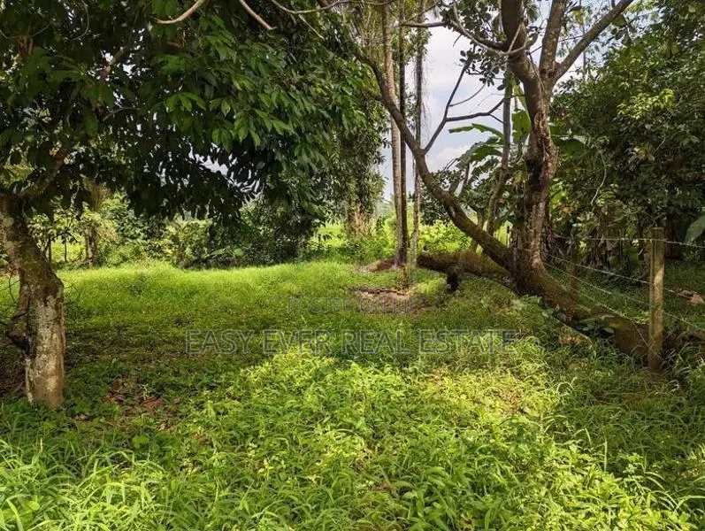 Land for Sale in Kadawatha