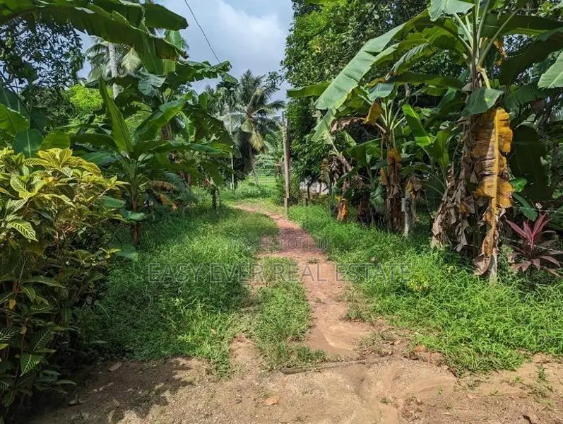 Land for Sale in Kadawatha