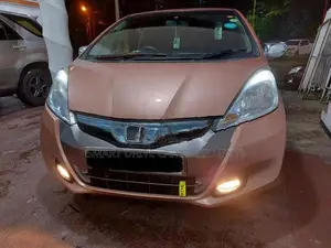 Honda Fit GP1 2010 Foglight