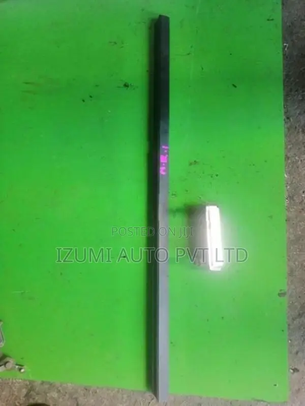 Pajero Palathsaba Rear Left weatherstrip