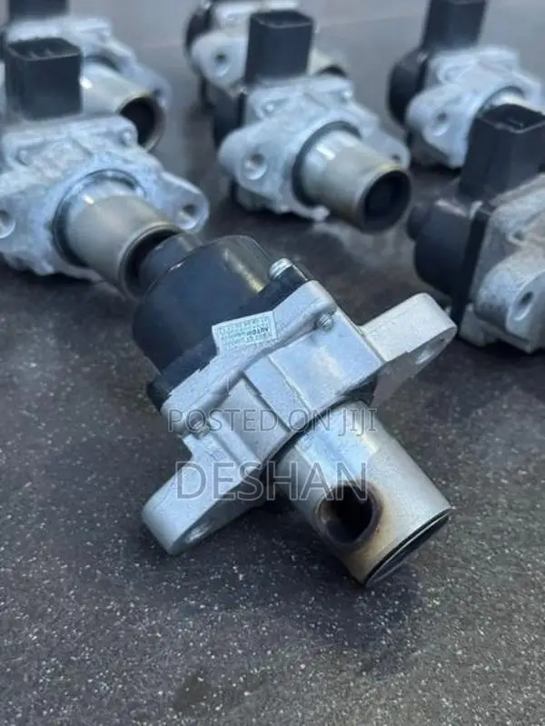 Wagon R Egr Valve recondition 55s spacia hutsler