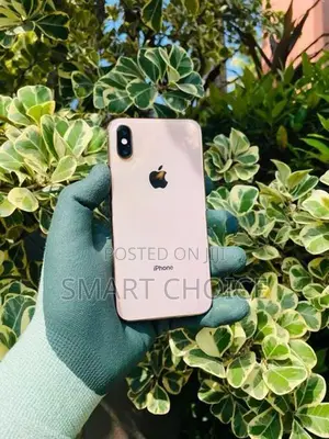 Apple iPhone XS 256GB 201 (Used)