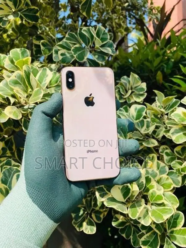 Apple iPhone XS 256GB 201 (Used)