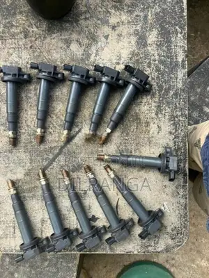 Aqua Iginition Coils with Spark Plugs