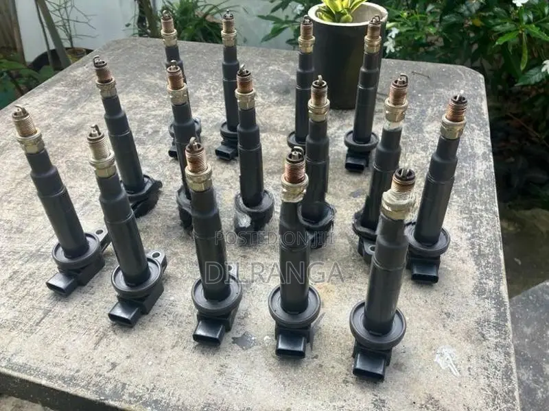 Aqua Iginition Coils with Spark Plugs