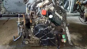 Nissan CG10 Engine