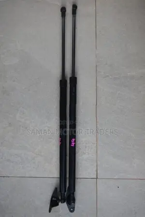 Zuzuki Wagon R MH44 Dickey Door Shock