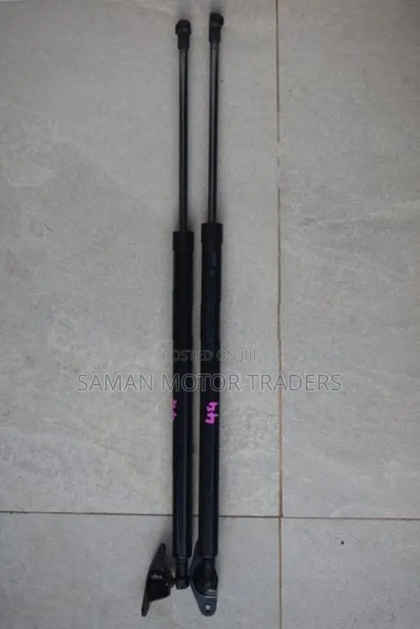 Zuzuki Wagon R MH44 Dickey Door Shock