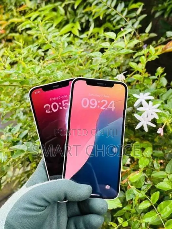 Apple iPhone 12 128GB 5G S2 (Used)