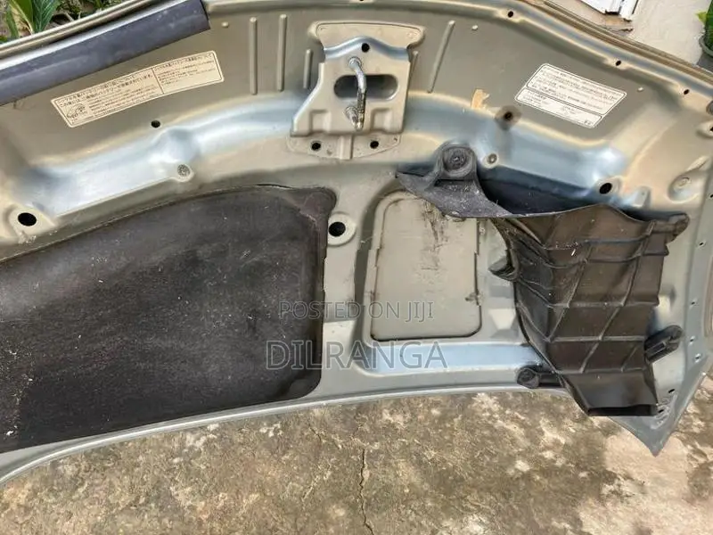 Honda Fit Shuttle GP2 Bonnet
