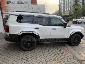 PRADO NEW LC250 WHEEL ARCHES