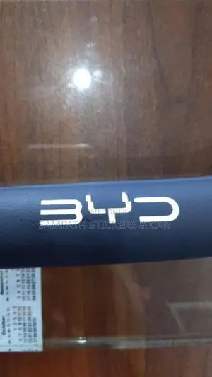 BYD Steering Wheel Covers (Atto 3)