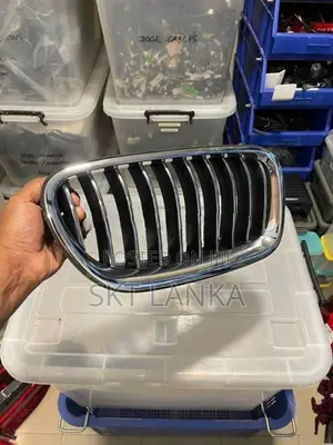 Genuine New BMW 5 Series 520d F10 LCI 2015 Kidney Grilles Bumper