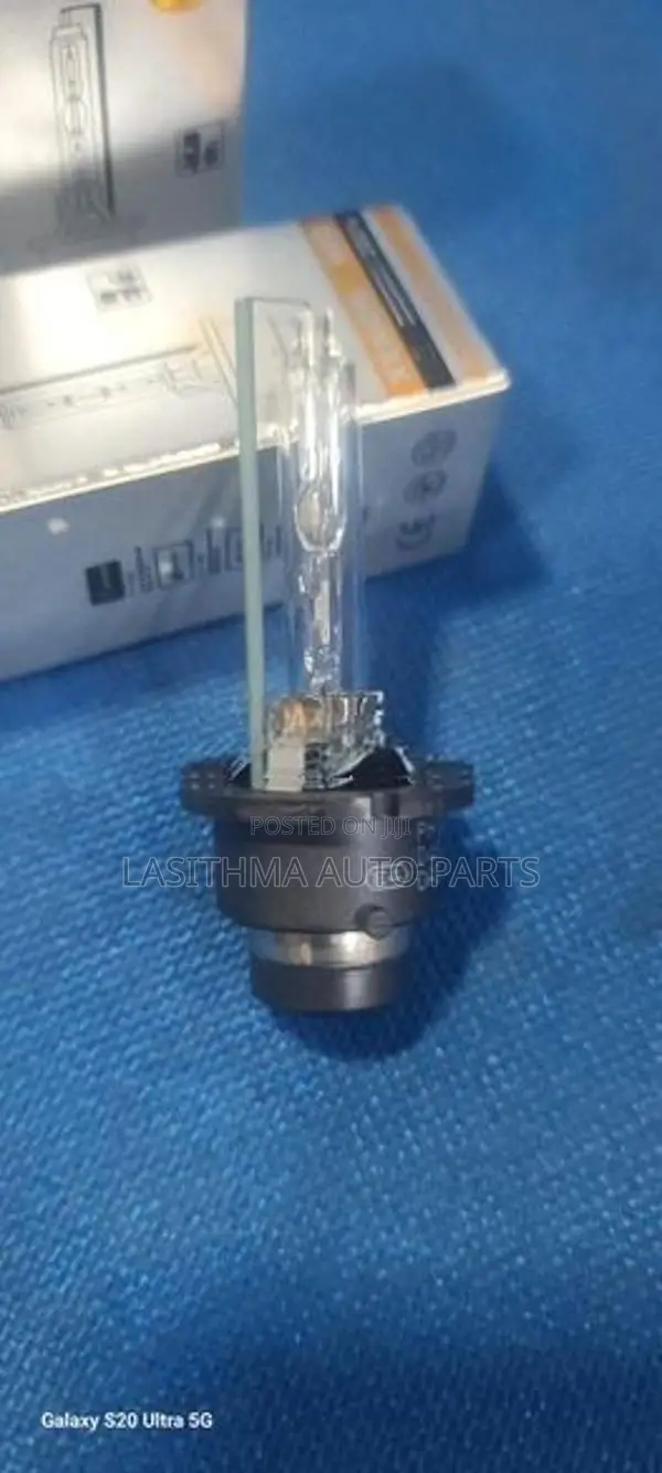 D4 S Bulbe