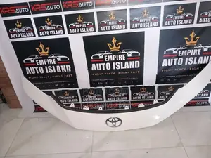 Toyota Prius W 60 Radiator Grille