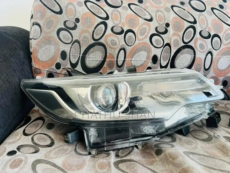 Premio 260 Head Light