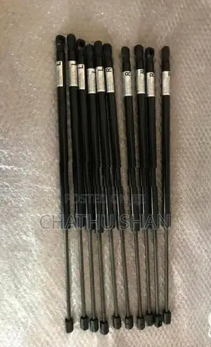 Voxy Noah Esquire Dicky Shocks
