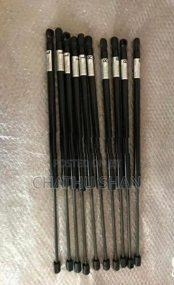 Voxy Noah Esquire Dicky Shocks