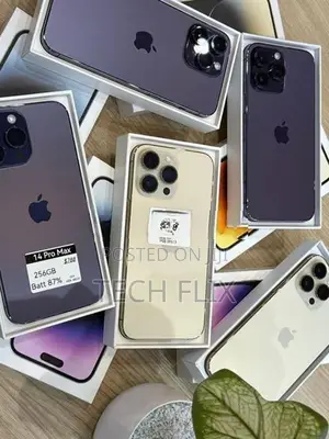 Apple iPhone 14 Pro Max 256GB (Used)