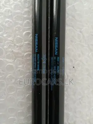 Nissan Qashqai Dicky Shock