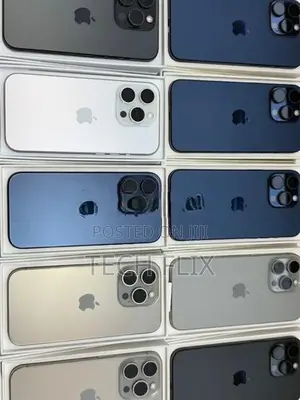 Apple iPhone 15 Pro Max (Used)