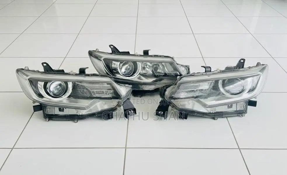 Premio 260 Allion Head Lights 2018